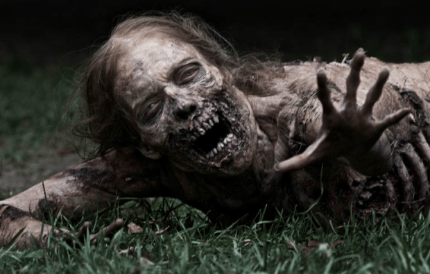 Walking Dead Zombie