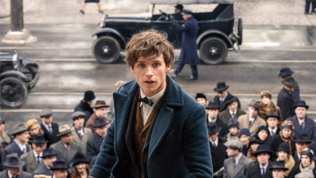 Newt Scamander (Eddie Redmayne) | Credit: Warner Bros. Pictures